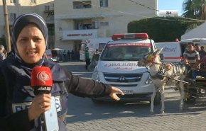 عربات تجرها الدواب لنقل الشهداء والجرحى في غزة بسبب نفاد الوقود + فيديو