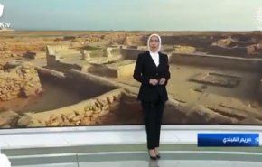 شاهد/ موقف شجاع من مذيعة عربية للنشرة الجوية تجاه المقاومة!