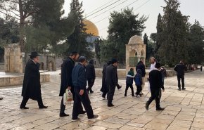 مستوطنون ينفذون جولات استفزازية في باحات المسجد الأقصى 