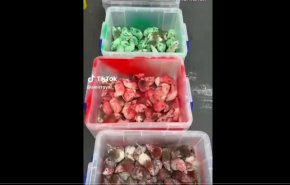 شاب يطلق عشرات الفئران بمطعم ماكدونالدز دعما لمقاطعة الاحتلال
