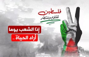 فيديوغرافيك.. فلسطين تقاوم وتنتصر