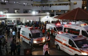 مقبرة جماعية داخل مجمع الشفاء لدفن 100 شهيد+فيديو