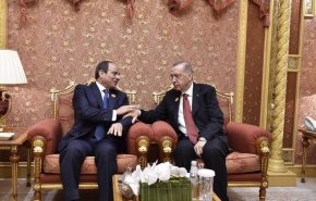 أردوغان والسيسي يبحثان تطورات العدوان على غزة