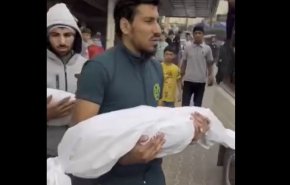 بالفيديو.. صباحات خانيونس ومدن غزة ليست كباقي العالم!!