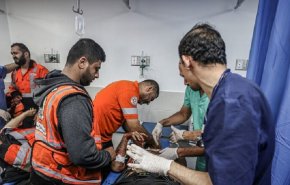 ارتفاع عدد شهداء غزة إلى 11240 شخصا 