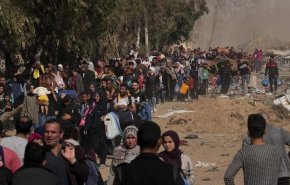 القاهرة تؤكد نجاح إجراءات اليوم الأول من الهدنة الإنسانية في قطاع غزة

