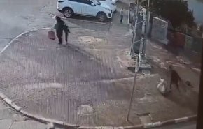 استشهاد سيدة فلسطينية حامل في جريمة طعن بمدينة اللد