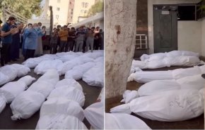 بعد إحتجازه الجثامين.. هل سرق الإحتلال أعضاء شهداء غزة البشرية؟