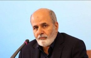 المقاومة تتجدد: أحمديان يتحدث عن ولادة مقاومة جديدة في سوريا