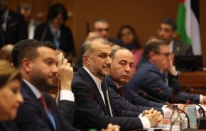 عبداللهيان في جنيف للدفاع عن حقوق الانسان في فلسطين 