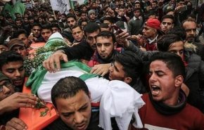 مجازر الاحتلال تتواصل.. 100 شهيد في غضون ساعات

