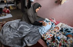 وسط القصف .. فلسطينية نازحة تنجب 4 توائم في غزة +فيديو