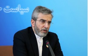 باقري كني: 'ازالة الدولرة' هي من ضمن مهام ايران في مجموعة بريكس