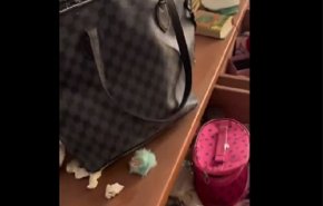 شاهد/موظف مكتب نتنياهو لص ساعات محترف بقطاع غزة!
