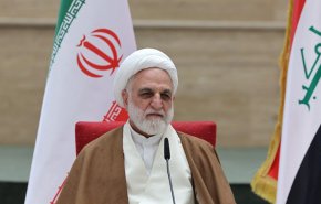 إيجئي: جرائم كيان الاحتلال يتم تنفيذها بدعم من الولايات المتحدة
