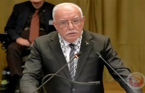 في محكمة العدل.. المالكي: كيان الاحتلال ترك لنا 3 خيارات فقط