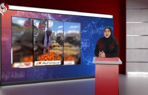 في حب غزة.. بائع برتقال مصري يخطف قلوب الملايين