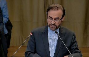 إيران: الاستفتاء الوطني السبيل القانوني الوحيد لتقرير مصير الشعب الفلسطيني