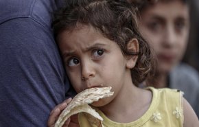 بالفيديو.. شاب فلسطيني يروي حربا من نوع آخر في شمال غزه
