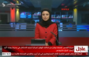  نشرة الاخبار من قناة العالم الساعة 13:00 بتوقيت غرينتش 25-02-2024 