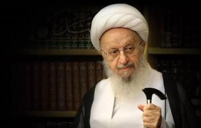 آية الله مكارم شيرازي: المشاركة في الانتخابات من مؤشرات الوعي لأي شعب