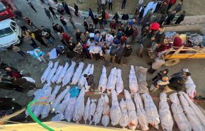 هل ستتخذ اوروبا موقفا عمليا تجاه جرائم الاحتلال في غزة؟