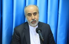 كنعاني: صرخات الطيار بوشنيل هي الصوت العالي للضمائر الحيّة في امريكا
