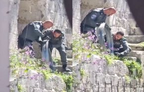 في سابقة خطيرة .. الإحتلال يضع أسلاكا شائكة على السور المحاذي للمسجد الأقصى 