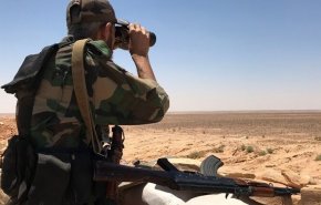 الجيش السوري ينفذ عمليات نوعية ضد التنظيمات المسلحة في ريفي حلب وإدلب