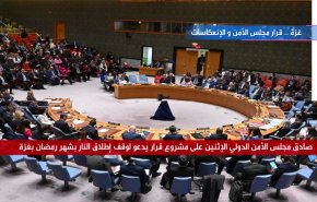  غزة قرار مجلس الامن والانعكاسات