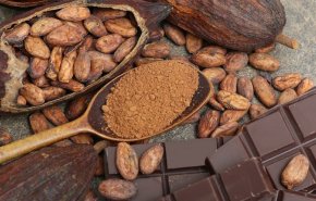 الـ'كاكاو' أغلى من النحاس!.. الطن بـ 9 آلاف دولار