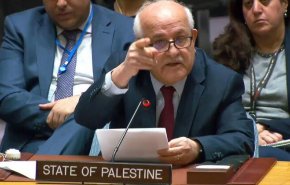 'مجلس الأمن' يبت غدا في عضوية فلسطين الدائمة بالأمم المتحدة
