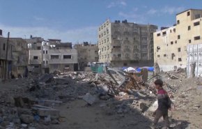 شاهد بوادر لوقف إطلاق النار في غزة.. ماذا يجري في القاهرة؟