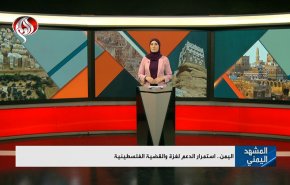 اليمن.. استمرار الدعم لغزة والقضية الفلسطينية