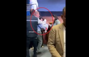 موقف صادم في الجامعة الأمريكية بالقاهرة بسبب فلسطين!+ فيديو