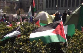شاهد.. ماذا يحدث في الجامعات الأميركية وعلاقة فلسطين؟