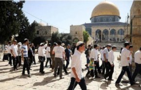 فيديو/مئات المستوطنين يقتحمون الأقصى تحت حماية مشددة