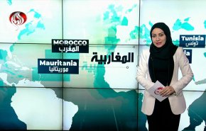 مباحثات بين الجزائر وروسيا.. ما علاقة فاغنر؟