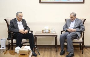ولايتي: نرى اليوم نتيجة صبر وشجاعة سكان غزة