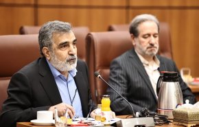 كمالوندي: جاهزون لنقل الخبرة النووية الايرانية الى جميع الدول