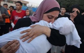 صحة غزة: 31 شهيدا و56 إصابة في 4 مجازر خلال24 ساعة الماضية