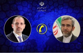 باقري كني يؤكد على اهمية الجهود المشتركة من أجل وقف الحرب في غزة