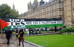 شاهد.. الشرطة البريطانية تعتقل متظاهرين مؤيدين لفلسطين
