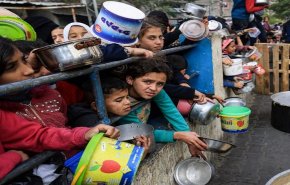 70منظمة حقوقية دولية تدعو لإعلان المجاعة رسمياً في غزة
