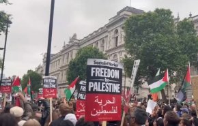 بالفيديو..وقفات ومظاهرات تضامنية مع غزة تعم مدن أوروبية وعربية
