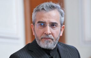 باقري: يجب تنفيذ أوامر محكمة العدل الدولية فورا