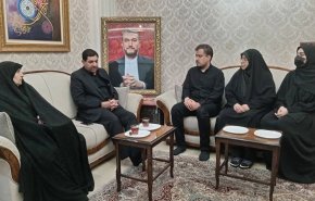 مخبر يشيد بمآثر أميرعبداللهيان في الدفاع عن فلسطين