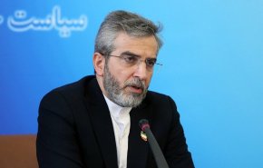 باقري : النهج غير البناء لبعض أعضاء الوكالة الدولية للطاقة الذرية يضر بهويتها ودورها 