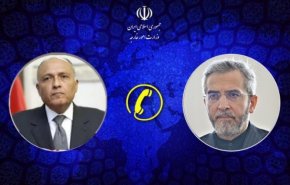 باقري يؤكد ضرورة استمرار الحوار بين إيران ومصر 
