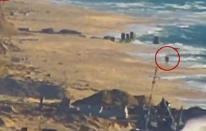 بالفيديو/إعدام الاحتلال لفلسطينيين عزل في شارع الرشيد بغزة